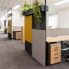 Open Plan Office with Screeens and Planters