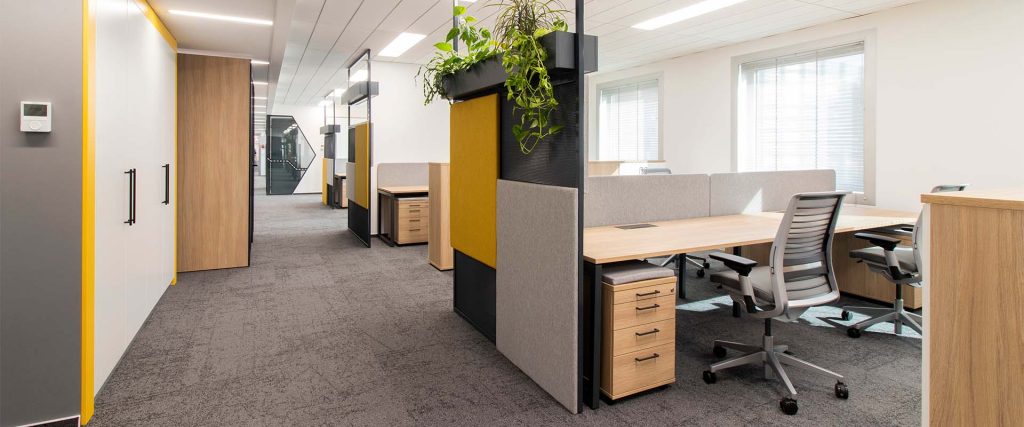 Open Plan Office with Screeens and Planters